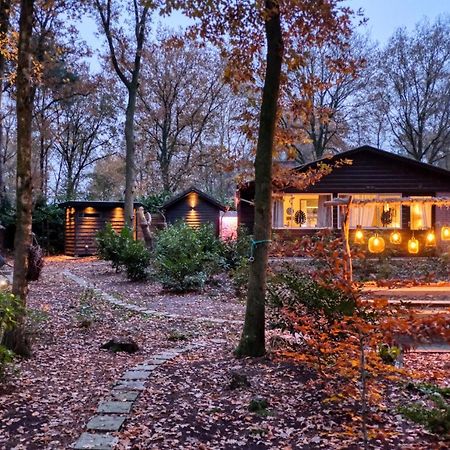 Lodge In Een Bosrijke Omgeving Met Hottub & Sauna Opt Rheezerveen ภายนอก รูปภาพ