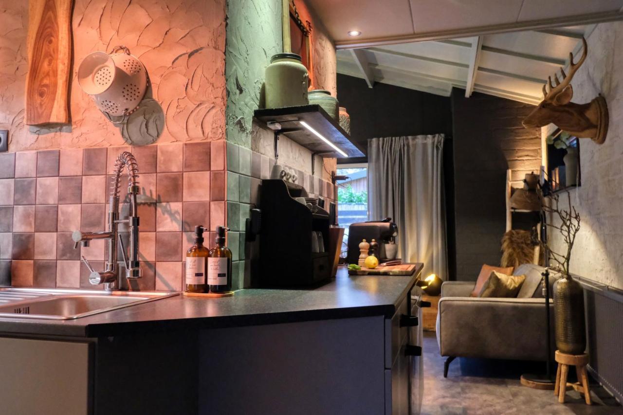 Lodge In Een Bosrijke Omgeving Met Hottub & Sauna Opt Rheezerveen ภายนอก รูปภาพ