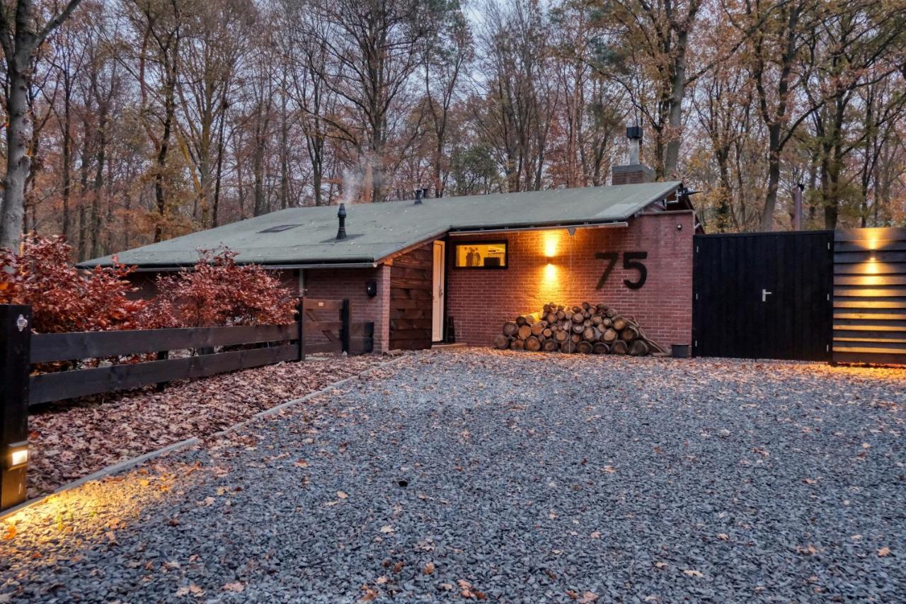 Lodge In Een Bosrijke Omgeving Met Hottub & Sauna Opt Rheezerveen ภายนอก รูปภาพ