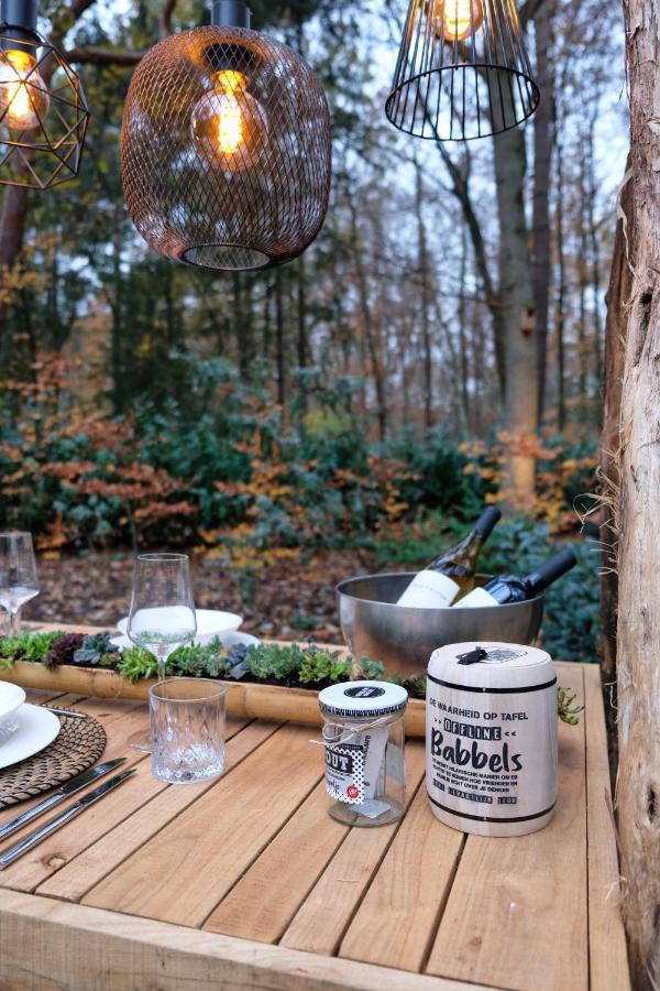 Lodge In Een Bosrijke Omgeving Met Hottub & Sauna Opt Rheezerveen ภายนอก รูปภาพ